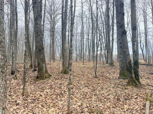Lot 3 Hwy X, GLEN FLORA, WI, 54526 | Card Image