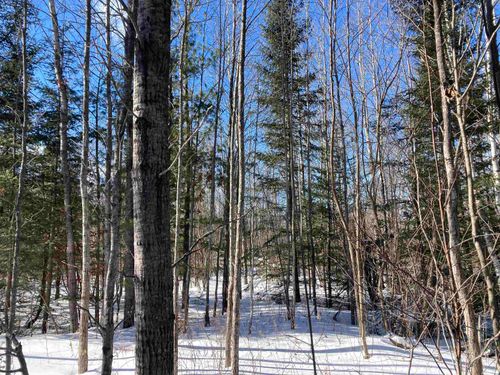 00 W Miller Road, Elmer Township, MI, 49647 | Card Image