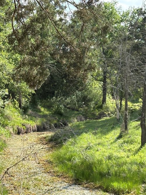 TBD Whitetail Spring Ln, Gustine, TX, 76455 | Card Image