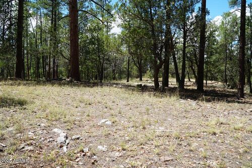 44-283 S Lookout Trl, Payson, AZ, 85541-7335 | Card Image