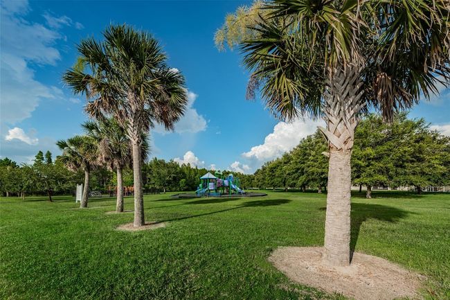 1236 Ketzal Dr, House other with 5 bedrooms, 3 bathrooms and null parking in TRINITY FL | Image 47