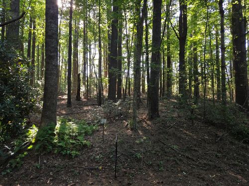 TBD Evergreen Trl, Fancy Gap, VA, 24328 | Card Image