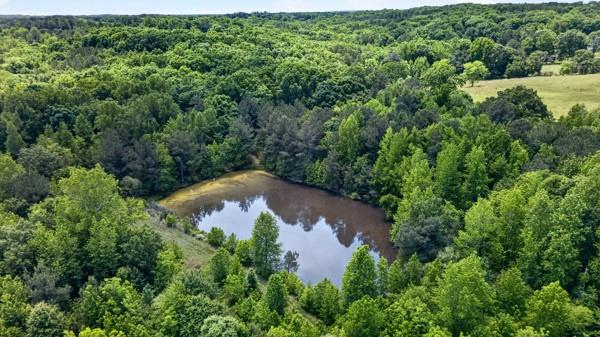 Land in Auburn 4