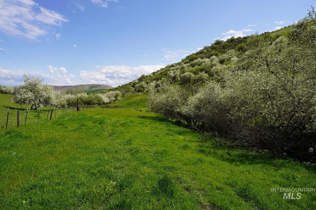 22132 Lapwai Rd, House other with 3 bedrooms, 2 bathrooms and 3 parking in Lapwai ID | Image 7