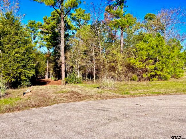 000 Grand View Dr, Home with 0 bedrooms, 0 bathrooms and null parking in Athens TX | Image 18