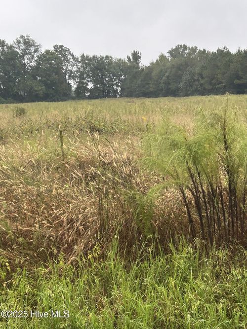 1198 Pelham Rd, Willard, NC, 28478-9166 | Card Image