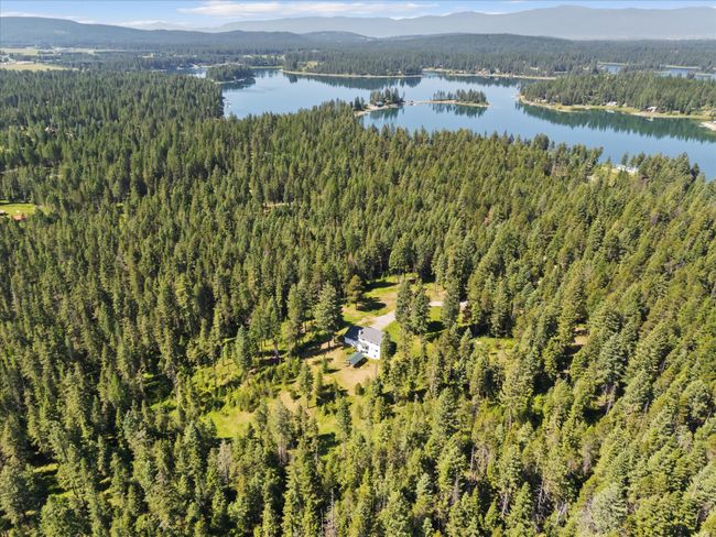 Drone / aerial view of a forest and a water and mountain view | Image 54