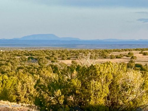 TBD Co Rd N7120 40 Acres, St. Johns, AZ, 85936 | Card Image