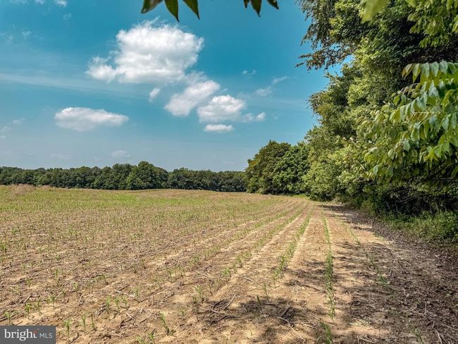 0 Heisey Rd, Home with 0 bedrooms, 0 bathrooms and null parking in SHIPPENSBURG PA | Image 15