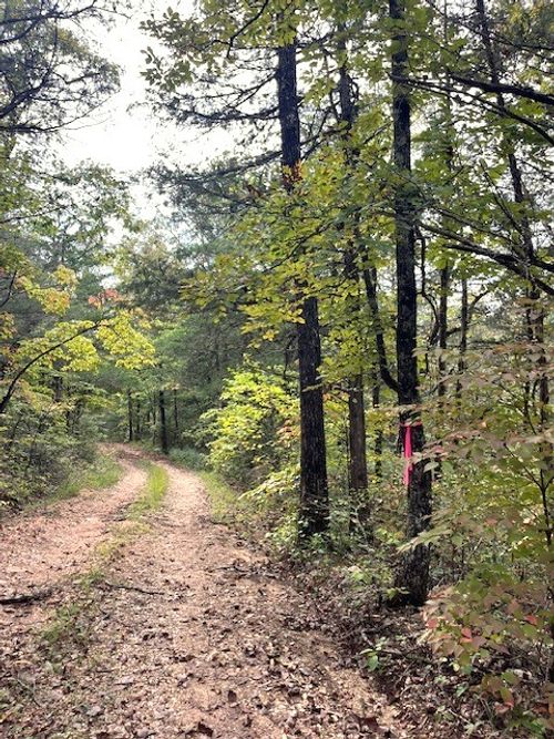 NC 2922 Heartsong Lane, Marble Falls, AR, 72648 | Card Image