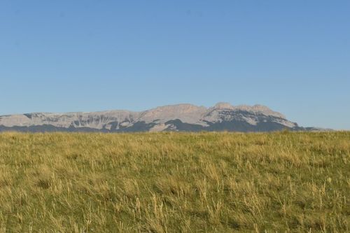 Lot 50 E Meadowlark Ln, Augusta, MT, 59410 | Card Image