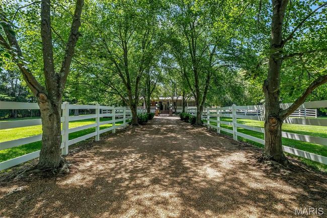 View of dirt / gravel driveway | Image 36