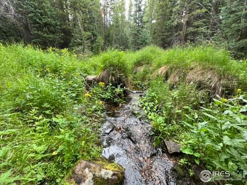 11 Pearl Creek Rd, Red Feather Lakes, CO, 80545 | Card Image