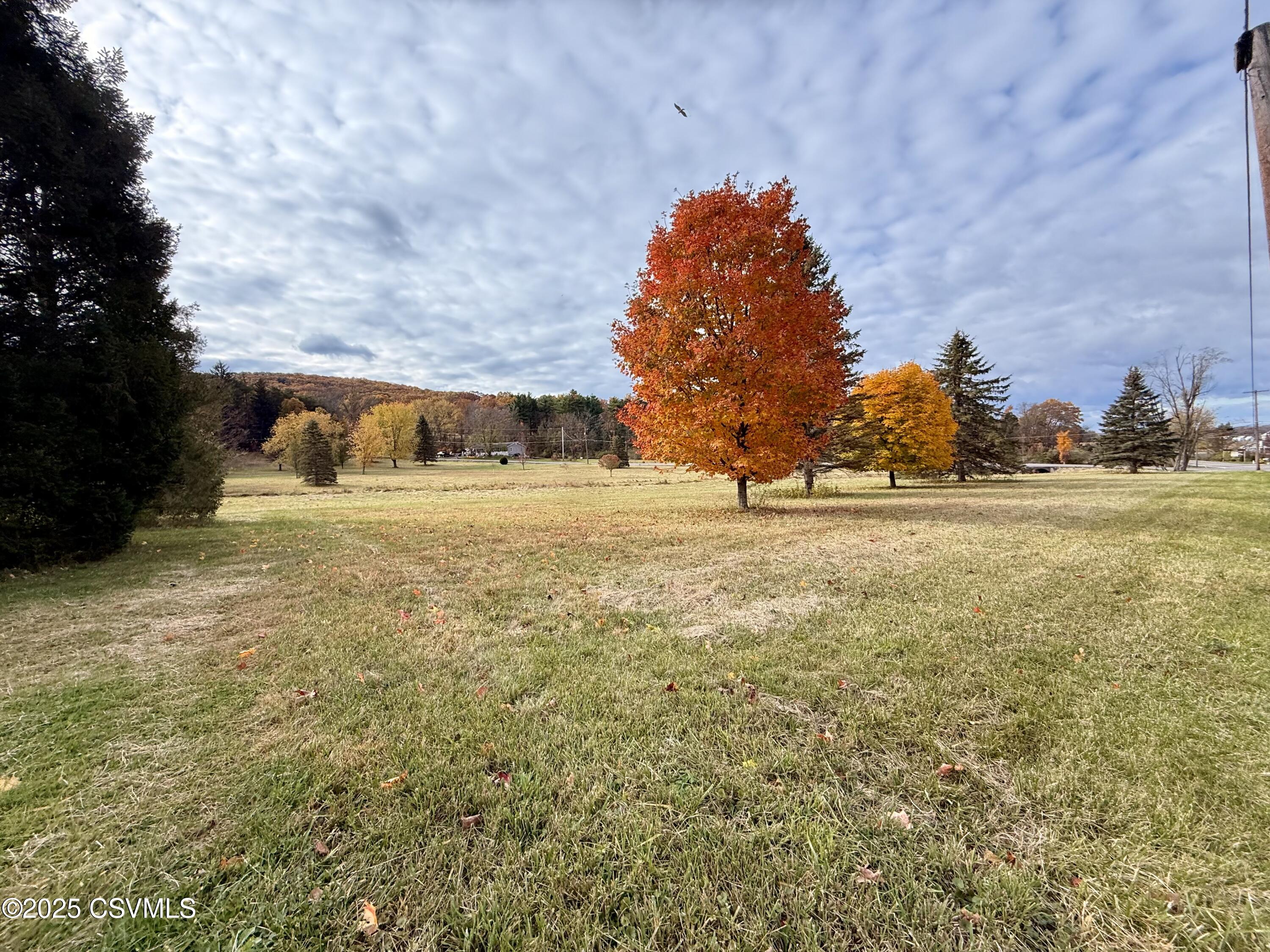 Land in Danville 4