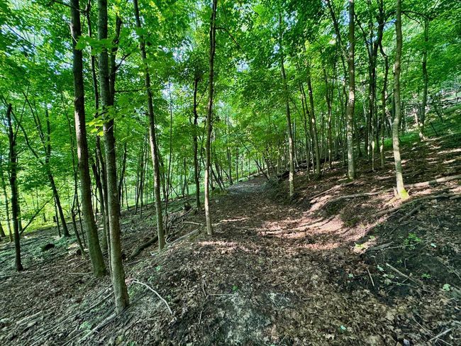E13758 Highway 82, House other with 4 bedrooms, 2 bathrooms and null parking in Stark WI | Image 55