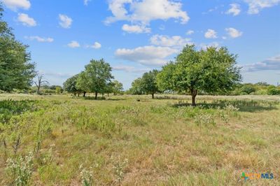 TBD 5 Sparta Field Road, Home with 0 bedrooms, 0 bathrooms and null parking in Waelder TX | Image 2