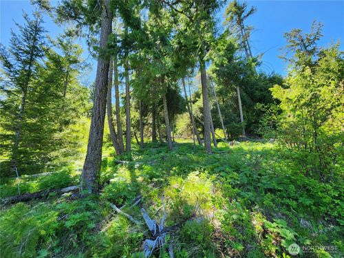 1 Black Hawk Drive, Cle Elum, WA, 98922 | Card Image