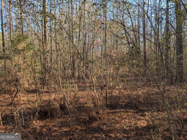 0 Ridgeway Rd, Home with 0 bedrooms, 0 bathrooms and null parking in Trion GA | Image 33