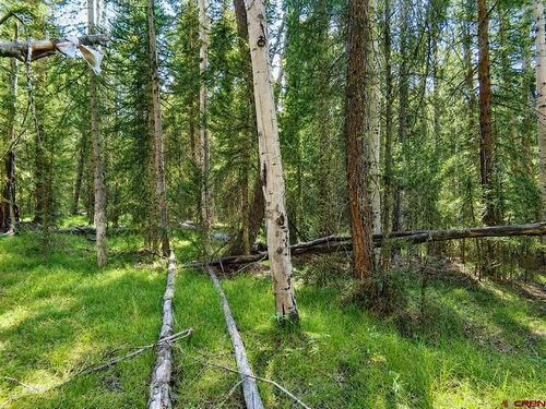 445 Aspen Trl, Cimarron, CO, 81220-9580 | Card Image