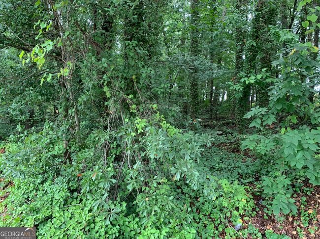 0 Highway 17 Alt, Home with 0 bedrooms, 0 bathrooms and null parking in Toccoa GA | Image 4