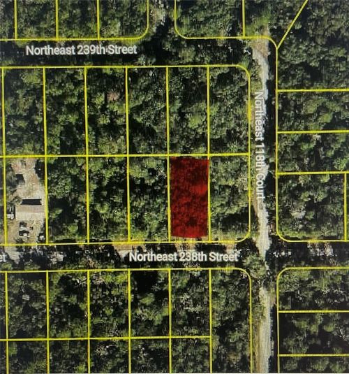 Tbd Ne 238th St, Fort Mc Coy, FL, 32134 | Card Image