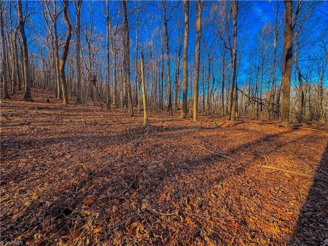 279 Palisades Trl, Home with 0 bedrooms, 0 bathrooms and null parking in Denton NC | Image 5