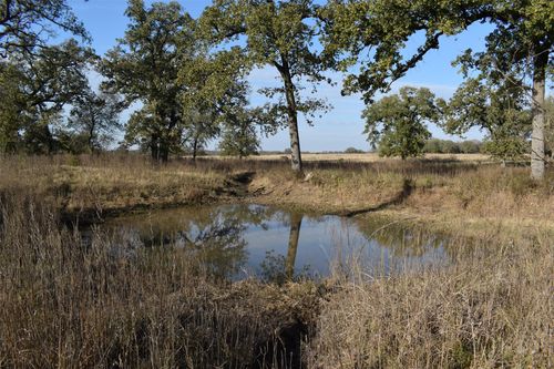 318 Fm 2488, Covington, TX, 76636-4463 | Card Image