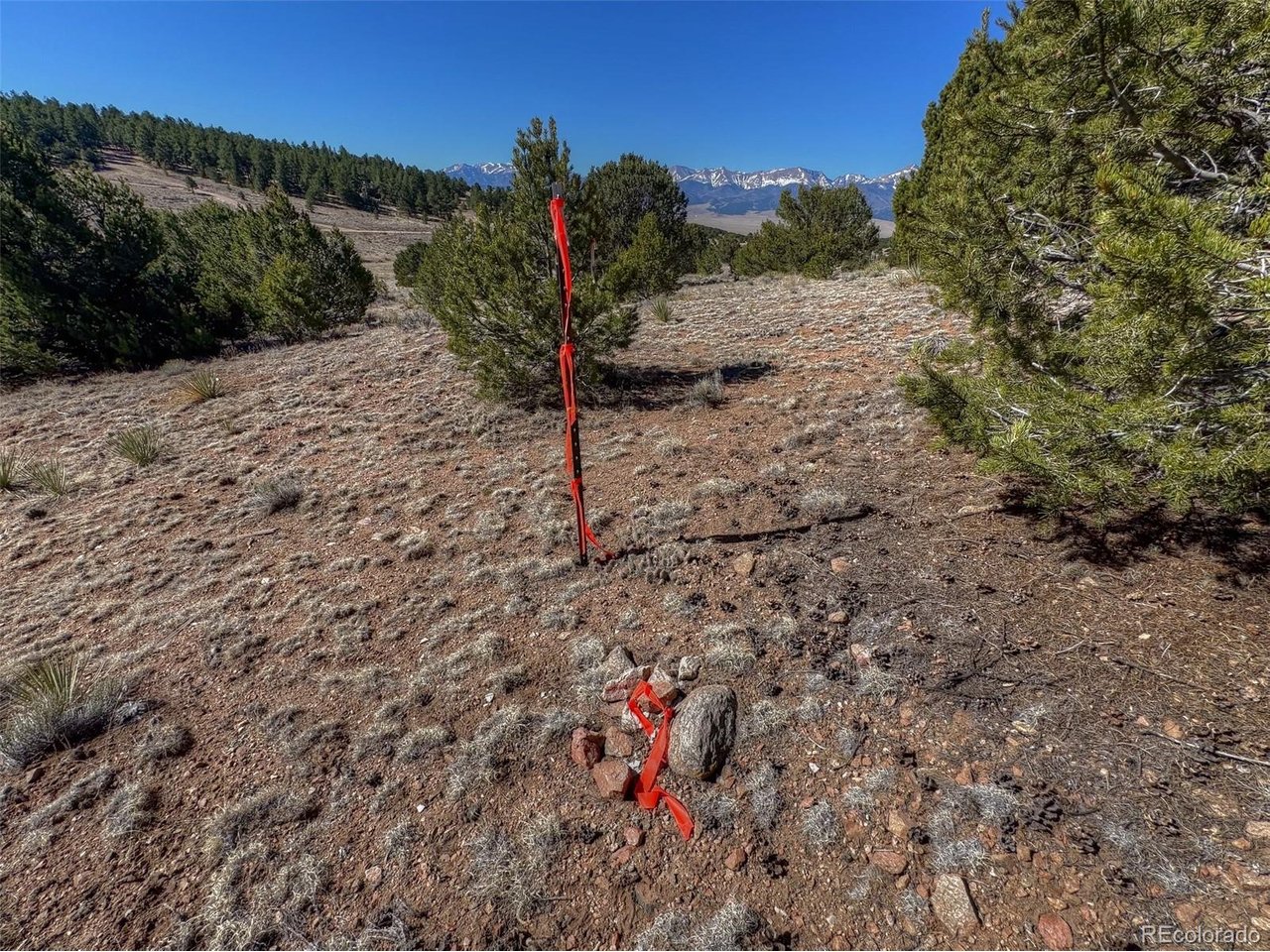 Land in Westcliffe 5