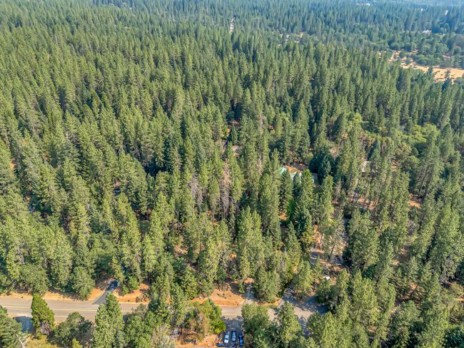 DJI_20250716104006_0004_D | Image 45