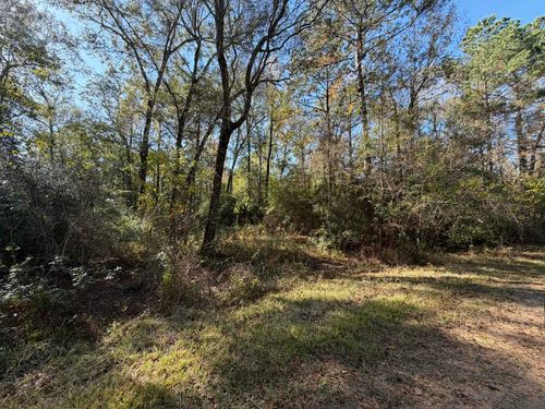 Lot 8A Private Road 2055, Hull, TX, 77564 | Card Image