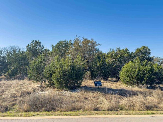 Lot 44 Mountain Laurel Lane, Home with 0 bedrooms, 0 bathrooms and null parking in Spicewood TX | Image 16