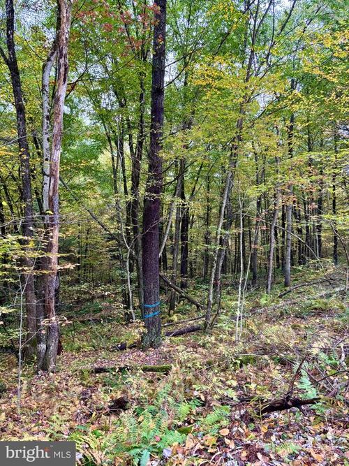 1 Beech Creek Mountain Rd, Beech Creek, PA, 16822 | Card Image