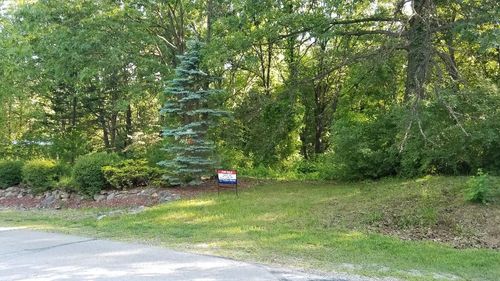 VL Van Antwerp Drive, Hamburg Township, MI, 48139 | Card Image