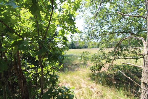 Lot19 Timber Trail, Spring Green, WI, 53588 | Card Image