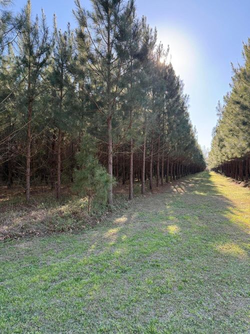 0 Polk Rd, Islandton, SC, 29929 | Card Image
