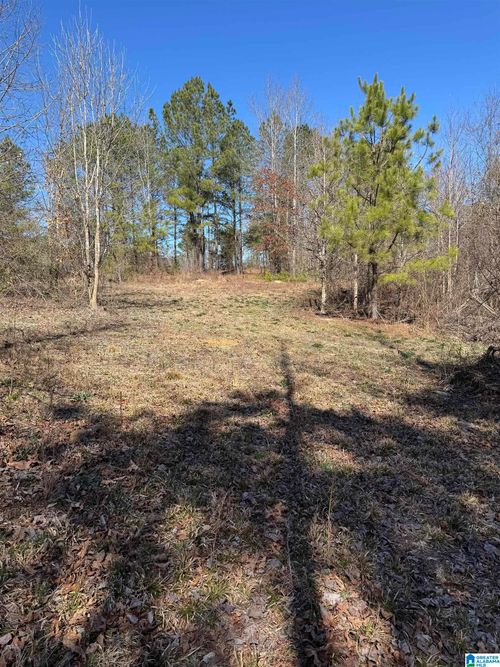 5-19075 Westside Rd, Brookwood, AL, 35444 | Card Image