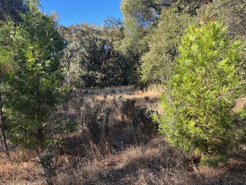 16272 Highway 26, Glencoe, CA, 95232 | Card Image