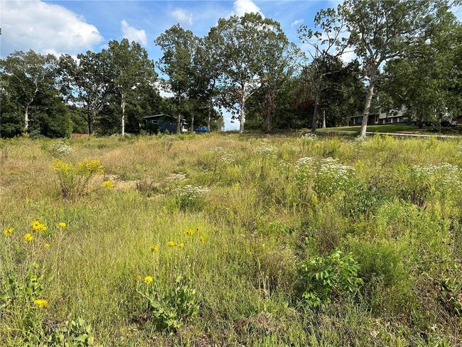 328 Saint Gerard St, Home with 0 bedrooms, 0 bathrooms and null parking in Bonne Terre MO | Image 5