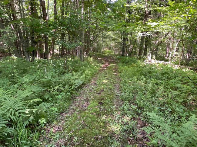 140 Odonnell Dr, House other with 4 bedrooms, 3 bathrooms and null parking in Readsboro VT | Image 27