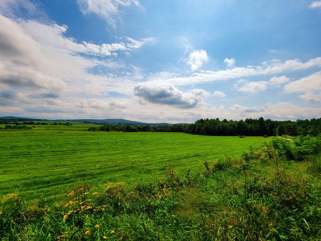 3 - 1545 Middle Road, Home with 0 bedrooms, 0 bathrooms and null parking in Bridport VT | Image 27