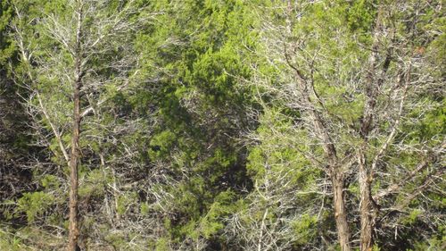 13904 Saskatchewan Drive, Austin, TX, 78734 | Card Image