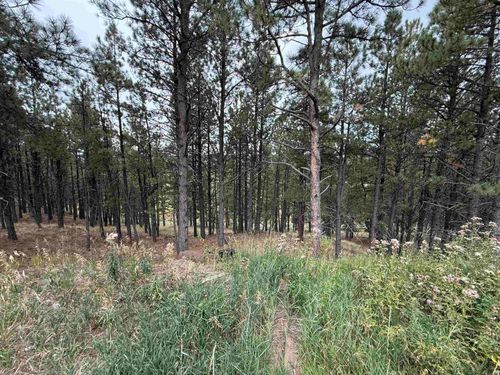 7 Valley Rd, Angel Fire, NM, 87710 | Card Image