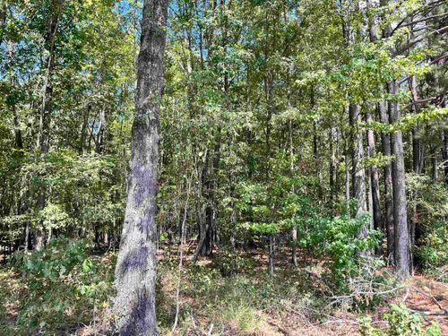 1209 Pine Haskell Dr, Haskell, AR, 72015-7405 | Card Image