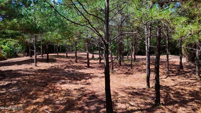 DJI_20250605160535_0677_D.00_00_09_28.St | Image 6