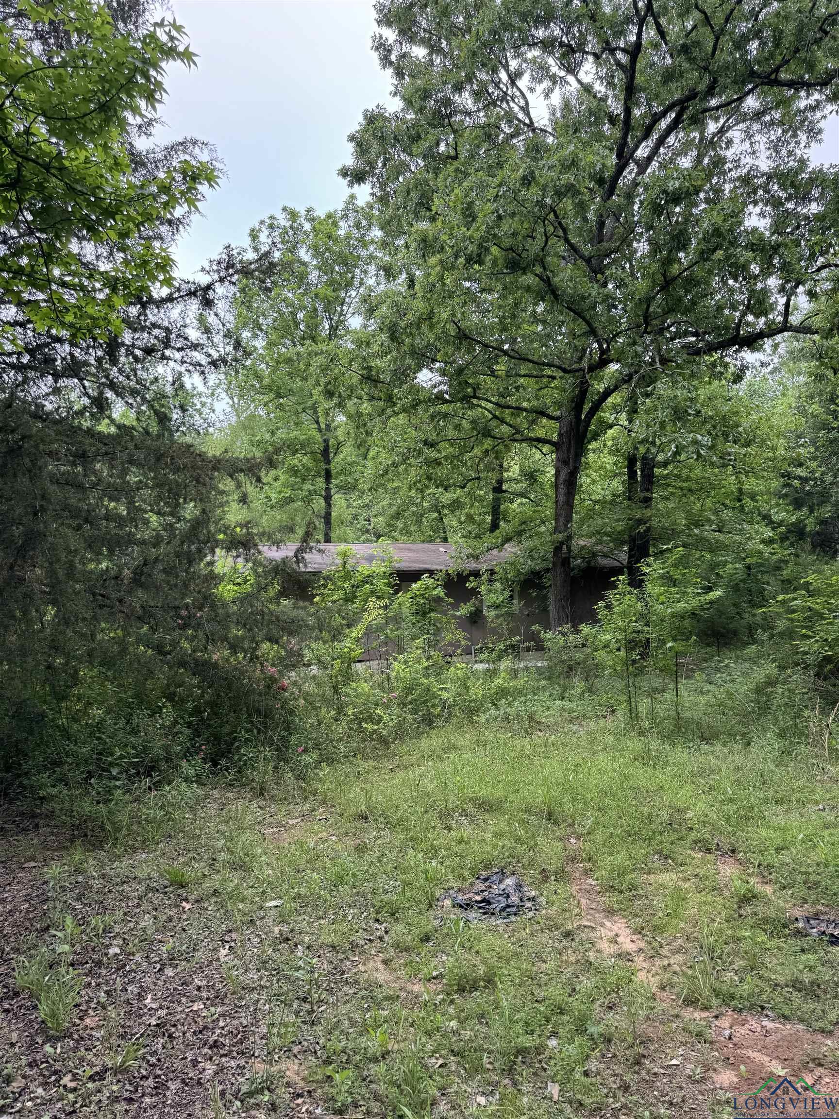 Cactuswood Trl, Gilmer, TX 75645