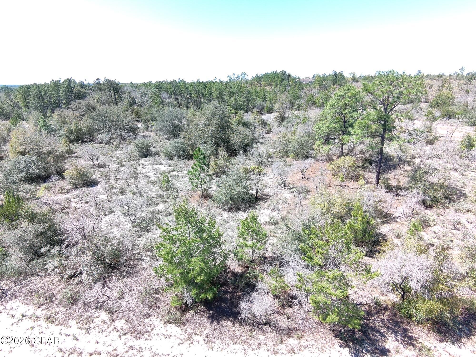 Land in Chipley 2