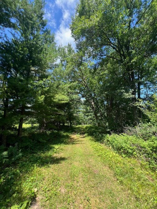 xxxxx Lily Lake Inn Road, Meenon Twp, WI, 54893 | Card Image