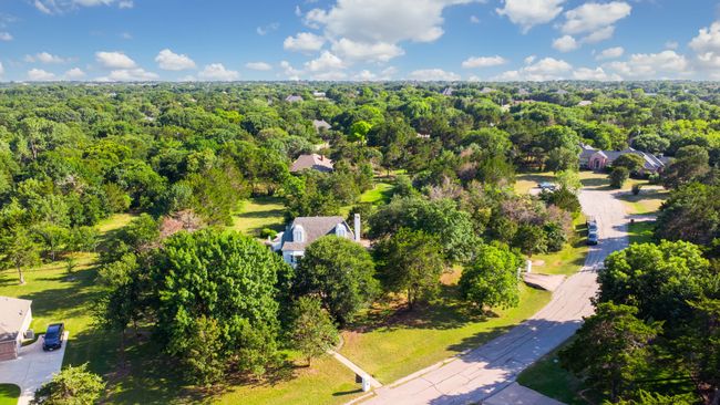 Bird's eye view of a forest | Image 38