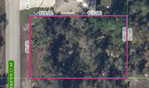 113 Easter Ct Ne, Lake Placid, FL, 33852-3421 | Card Image