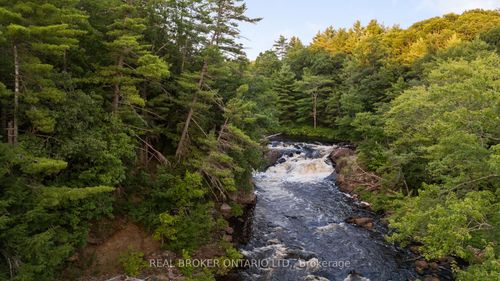 1401 Coopers Rd, Washago, ON, L0K2B0 | Card Image